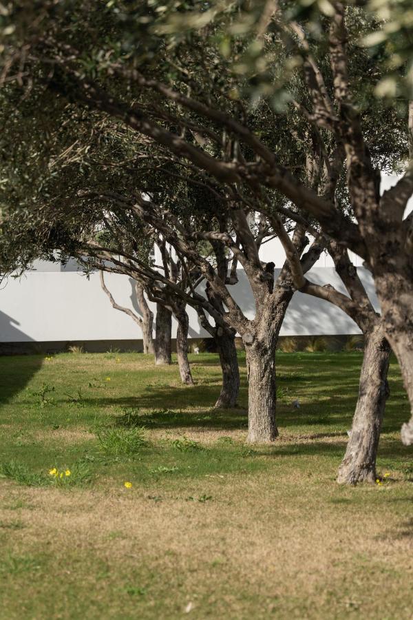 Tzanis Resort סקירוס מראה חיצוני תמונה